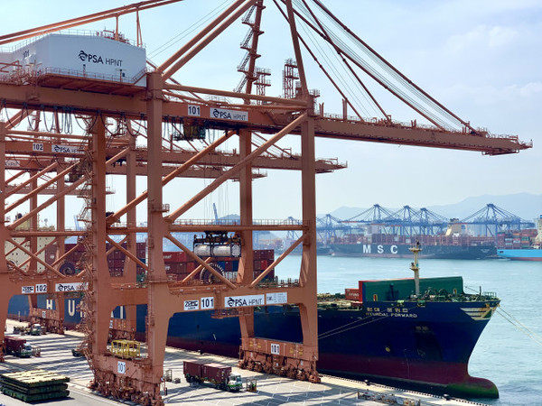 4600TEU급 컨테이너선 ‘HMM 포워드호’가 부산항 신항 HPNT에서 국내 수출 기업의 화물을 싣고 있다.
